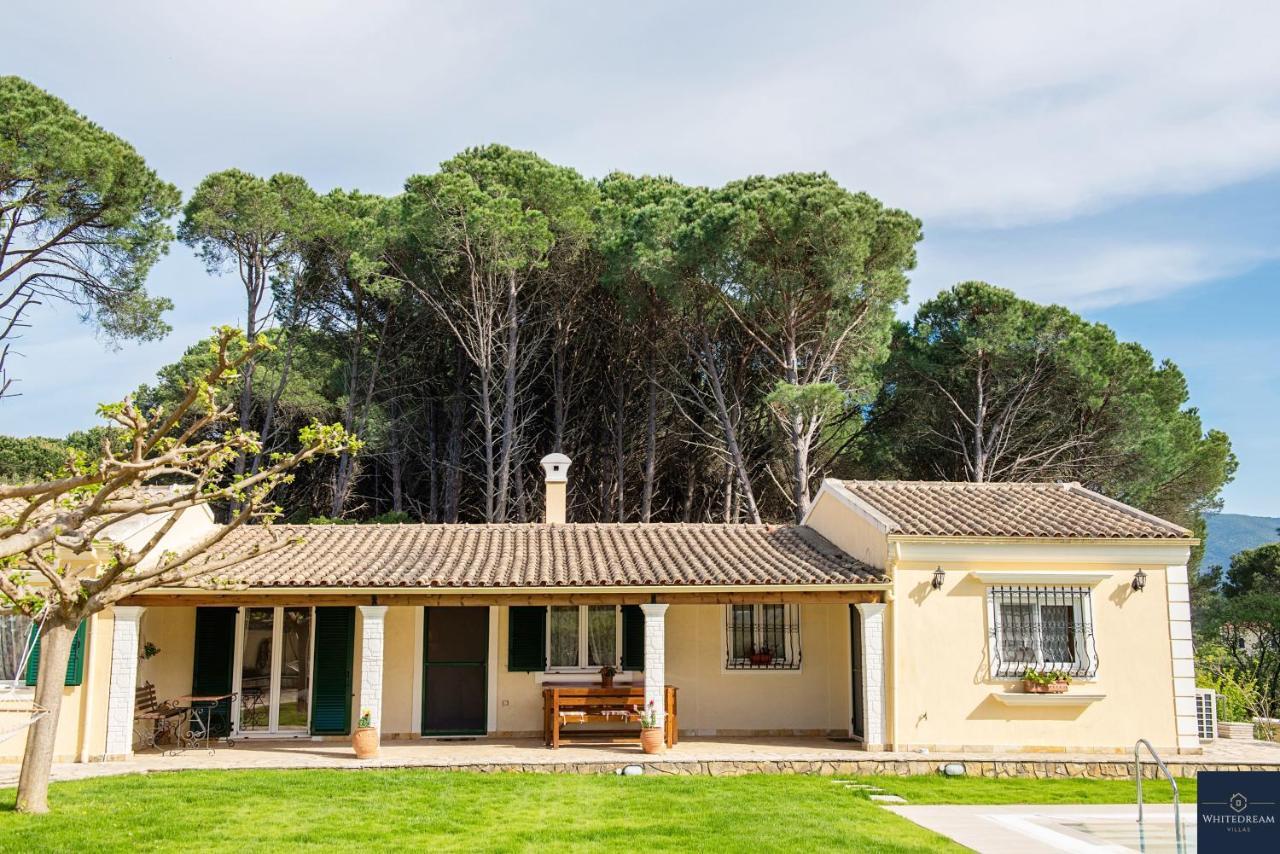 Villa Pine Forest Kompítsion Екстериор снимка
